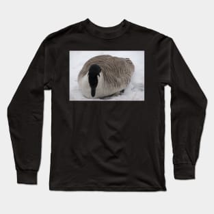 Canada Geese in the winter Long Sleeve T-Shirt